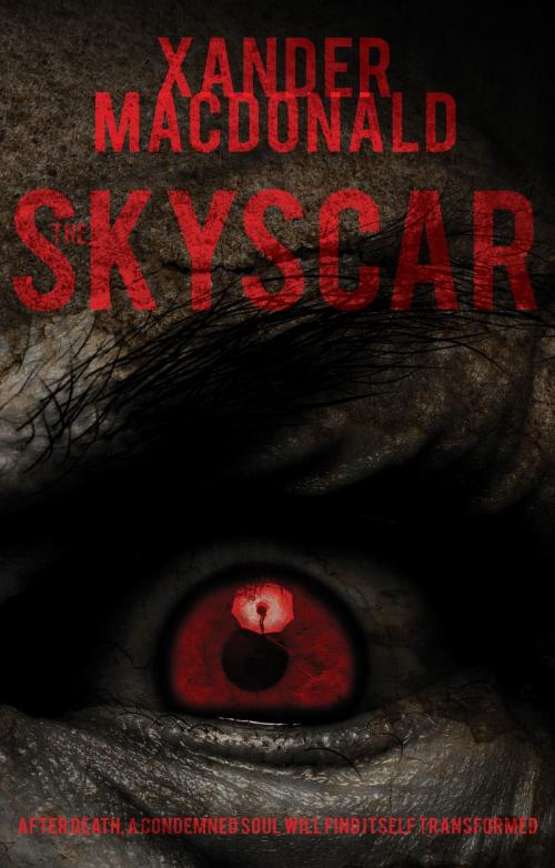 Cover of the book The Skyscar by Xander Macdonald, Troubador Publishing Ltd