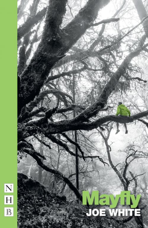 Cover of the book Mayfly (NHB Modern Plays) by Joe White, Nick Hern Books