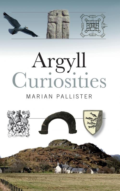 Cover of the book Argyll Curiosities by Marian Pallister, Birlinn
