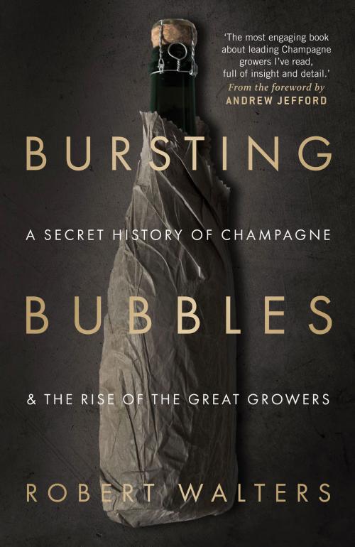 Cover of the book Bursting Bubbles by Robert Walters, Quiller