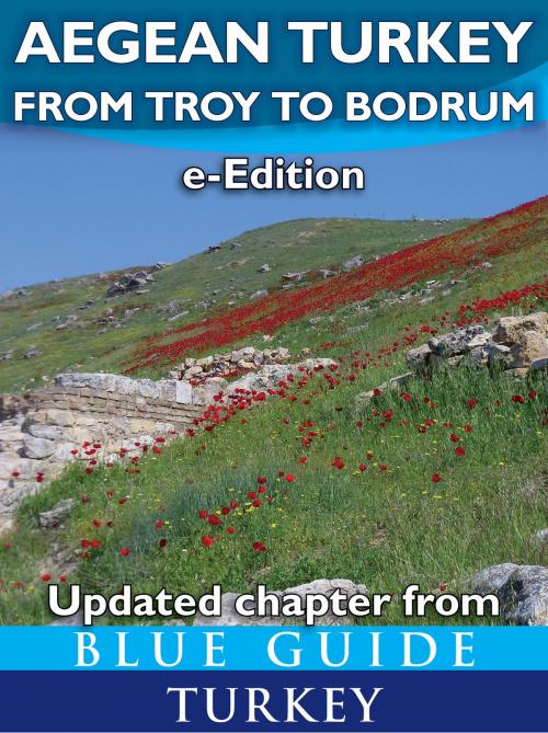 Cover of the book Blue Guide Aegean Turkey: From Troy to Bodrum by Paola Pugsley, Blue Guides Ltd.