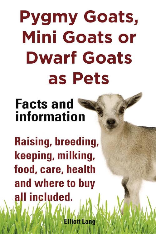 Cover of the book Pygmy Goats as Pets. Pygmy Goats, Mini Goats or Dwarf Goats by Elliott Lang, Internet Marketing Business
