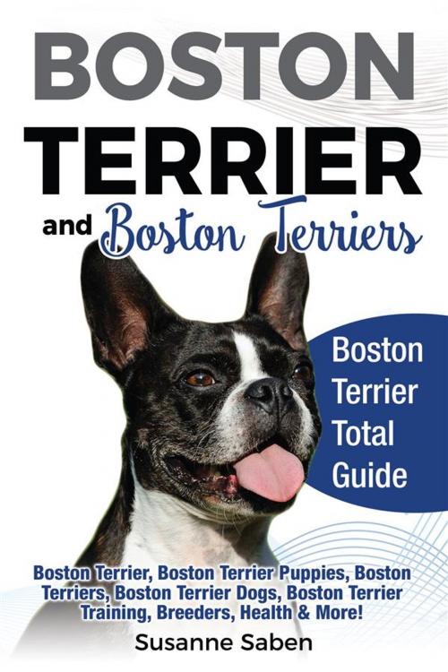 Cover of the book Boston Terrier and Boston Terriers by Susanne Saben, DYM Worldwide Publishers