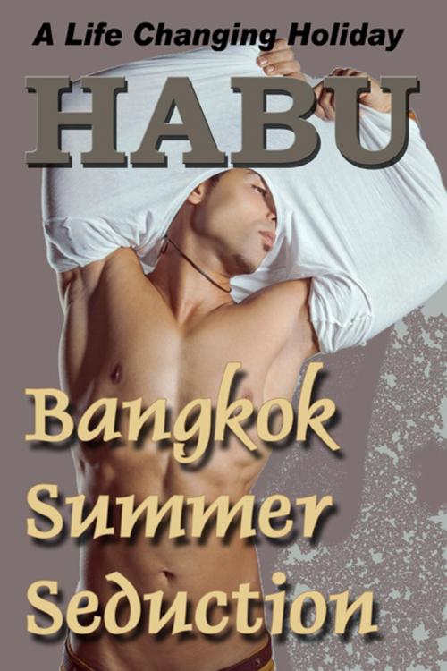 Cover of the book Bangkok Summer Seduction by habu, BarbarianSpy