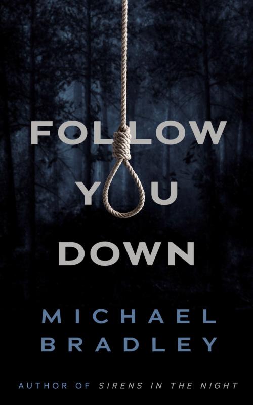 Cover of the book Follow You Down by Michael Bradley, Amberjack Publishing