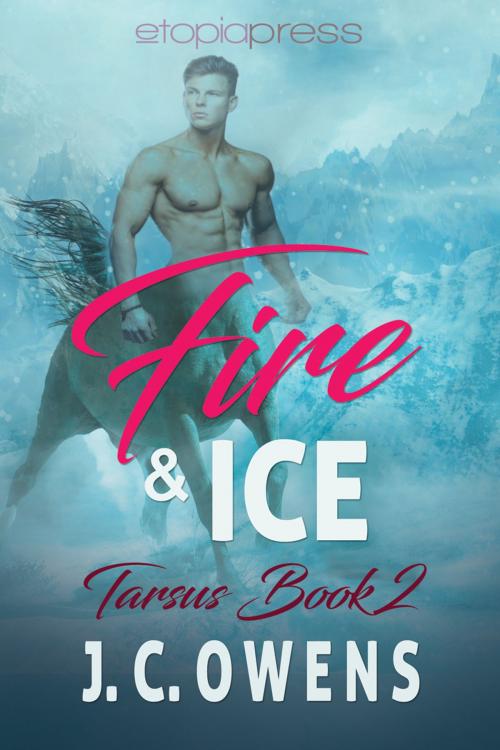 Cover of the book Fire and Ice by J. C. Owens, Etopia Press