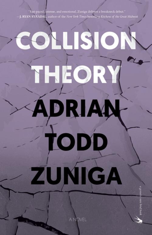 Cover of the book Collision Theory by Adrian Todd Zuniga, Rare Bird Books