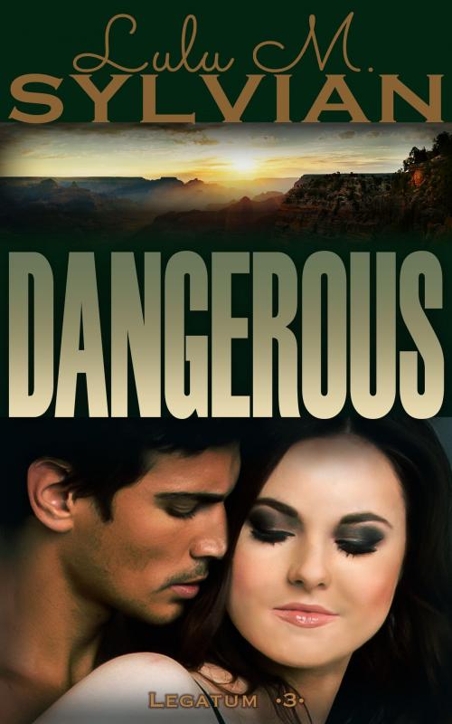 Cover of the book Dangerous by Lulu M Sylvian, Griffyn Ink