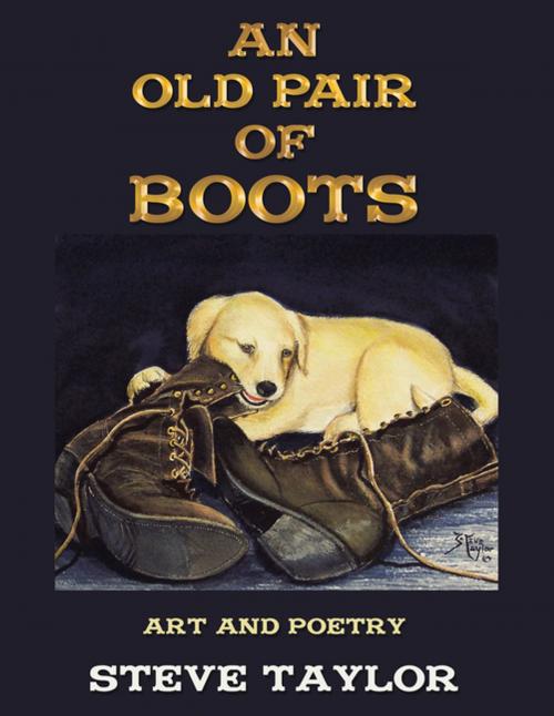 Cover of the book An Old Pair of Boots by Steve Taylor, WestBow Press