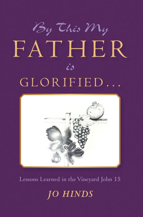 Cover of the book By This My Father Is Glorified . . . by Jo Hinds, WestBow Press
