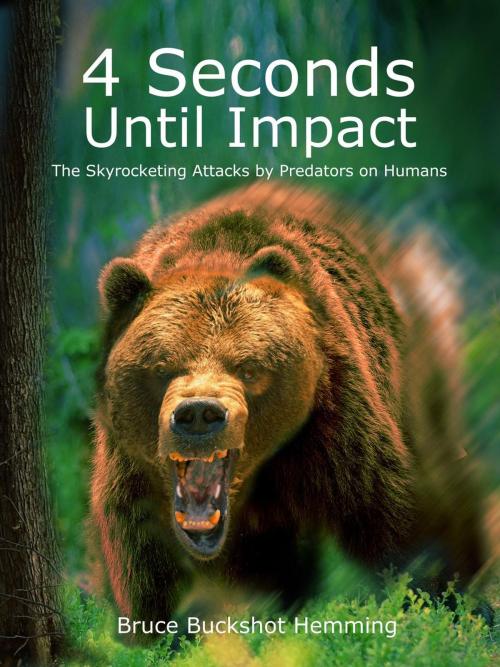 Cover of the book Four Seconds Until Impact by Bruce Buckshot Hemming, Bruce Buckshot Hemming