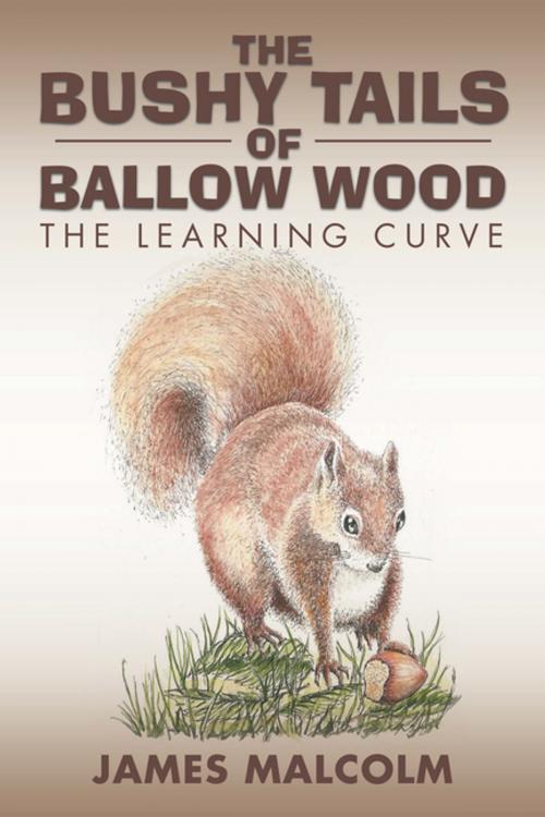 Cover of the book The Bushy Tails of Ballow Wood by James Malcolm, Xlibris US