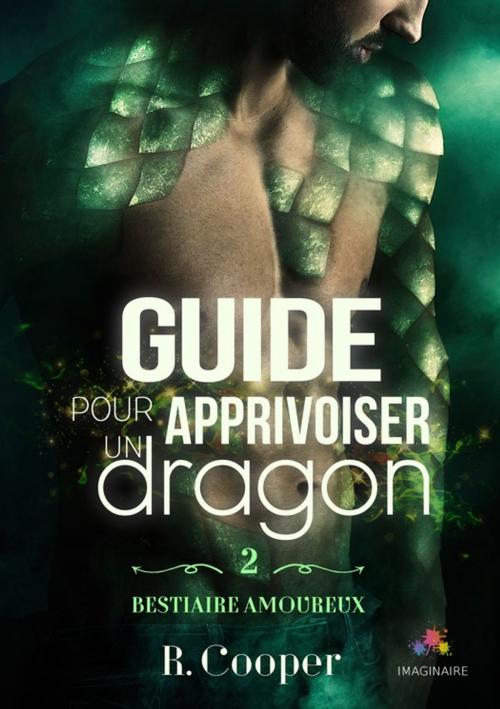 Cover of the book Guide pour apprivoiser un dragon by R. Cooper, MxM Bookmark