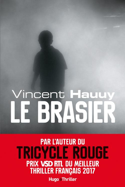 Cover of the book Le brasier by Vincent Hauuy, Hugo Publishing