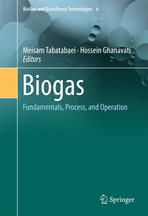 Cover of the book Biogas by , Springer International Publishing