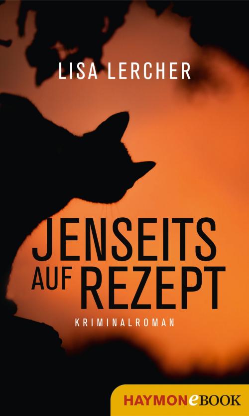 Cover of the book Jenseits auf Rezept by Lisa Lercher, Haymon Verlag