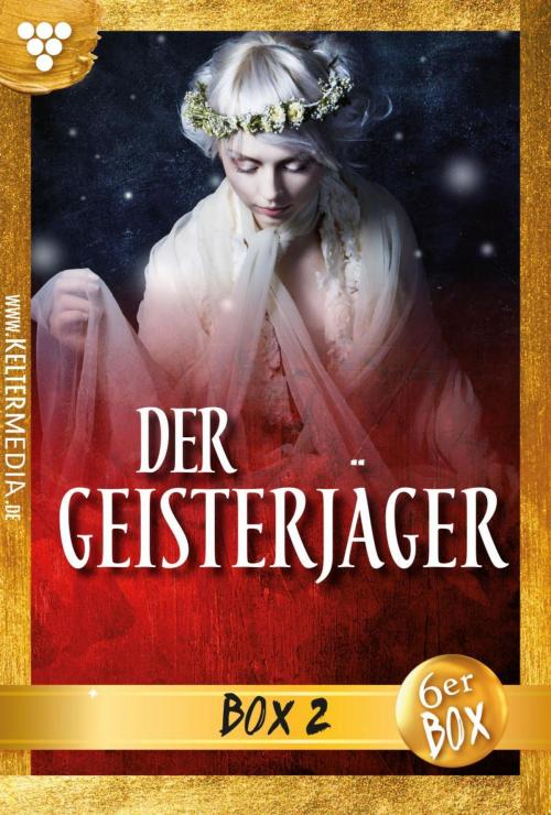 Cover of the book Der Geisterjäger Jubiläumsbox 2 – Gruselroman by Andrew Hathaway, Kelter Media