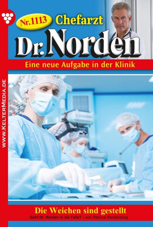 Cover of the book Chefarzt Dr. Norden 1113 – Arztroman by Patricia Vandenberg, Kelter Media