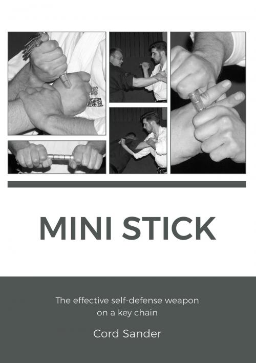 Cover of the book Mini Stick by Cord Sander, Books on Demand