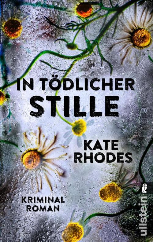 Cover of the book In tödlicher Stille by Kate Rhodes, Ullstein Ebooks
