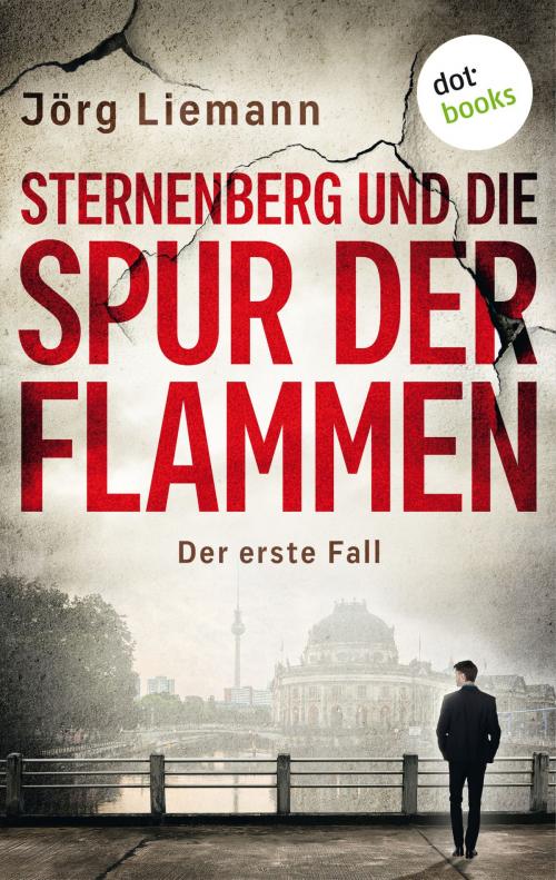 Cover of the book Sternenberg und die Spur der Flammen - Der erste Fall by Jörg Liemann, dotbooks GmbH