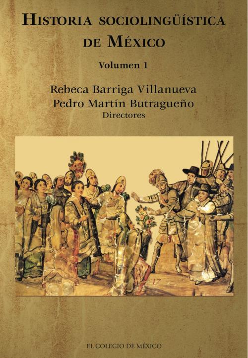 Cover of the book Historia sociolingüística de México. by Rebeca Barriga Villanueva, Pedro Martín Butragueño, El Colegio de México