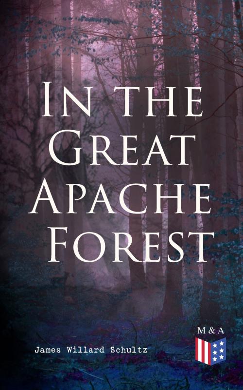 Cover of the book In the Great Apache Forest by James Willard Schultz, Madison & Adams Press