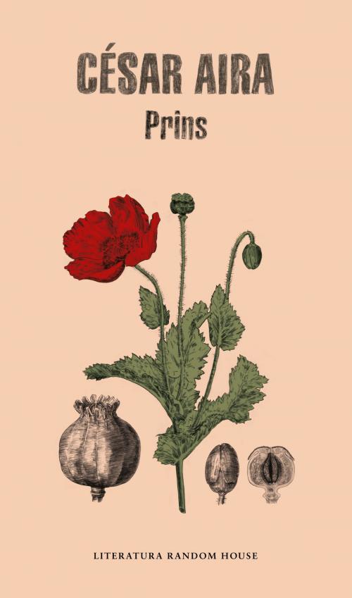 Cover of the book Prins by César Aira, Penguin Random House Grupo Editorial España