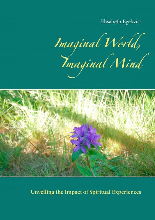 Cover of the book Imaginal World, Imaginal Mind by Elisabeth Egekvist, Books on Demand