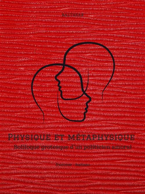 Cover of the book Physique et métaphysique by Baltasar, Aurelio Aceto