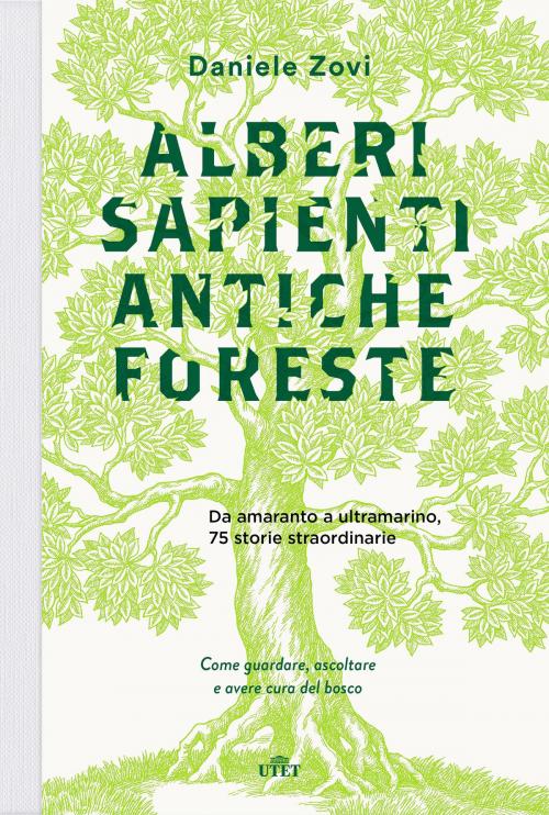 Cover of the book Alberi sapienti, antiche foreste by Daniele Zovi, UTET