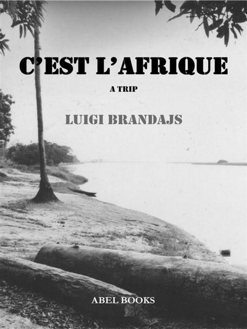 Cover of the book C'est l'Afrique by Luigi Brandajs, Abel Books