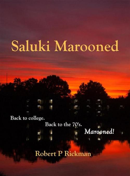 Cover of the book Saluki Marooned by Robert P Rickman, Tektime