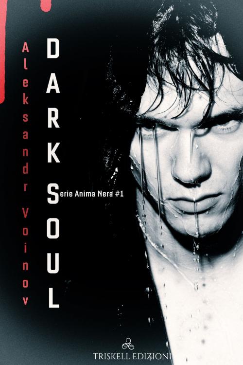 Cover of the book Dark Soul I by Aleksandr Voinov, Triskell Edizioni di Barbara Cinelli