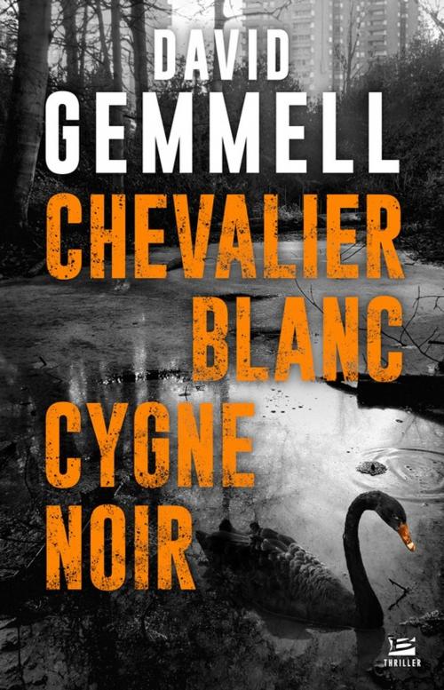 Cover of the book Chevalier blanc, cygne noir by David Gemmell, Bragelonne