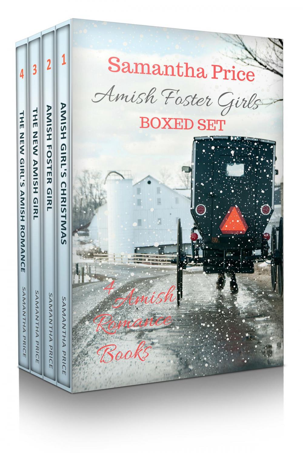 Big bigCover of Amish Foster Girls Boxed Set