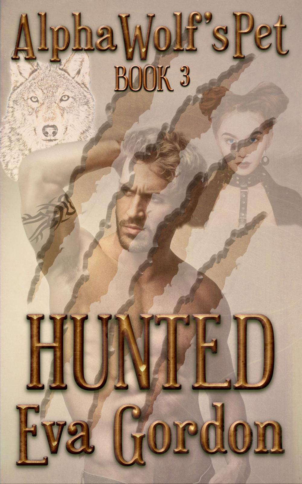 Big bigCover of Alpha Wolf's Pet, Hunted