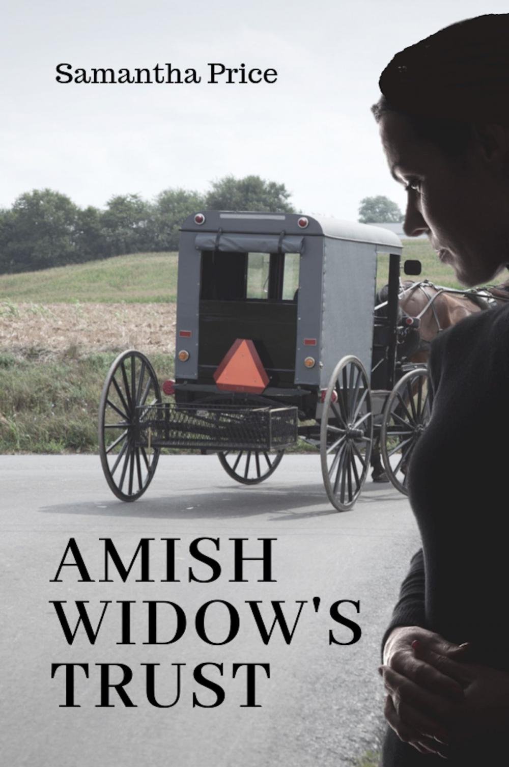 Big bigCover of Amish Widow's Trust