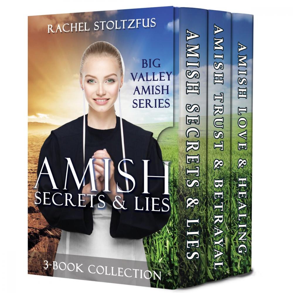 Big bigCover of Amish Secrets & Lies 3-Book Collection