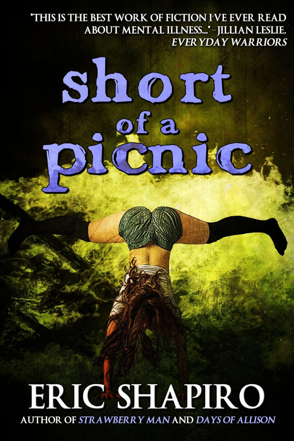 Big bigCover of Short of a Picnic