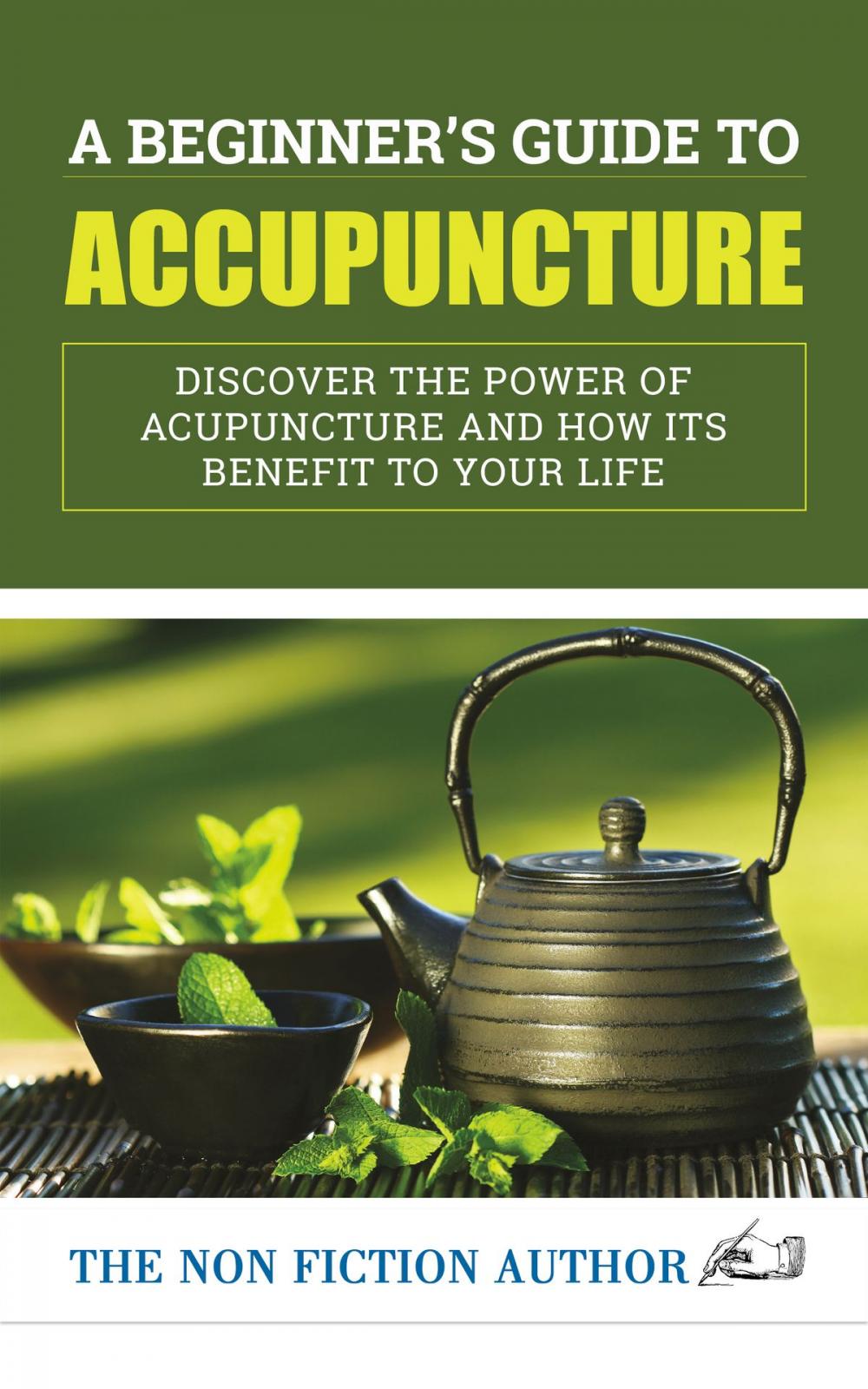 Big bigCover of A Beginner’s Guide to Acupuncture