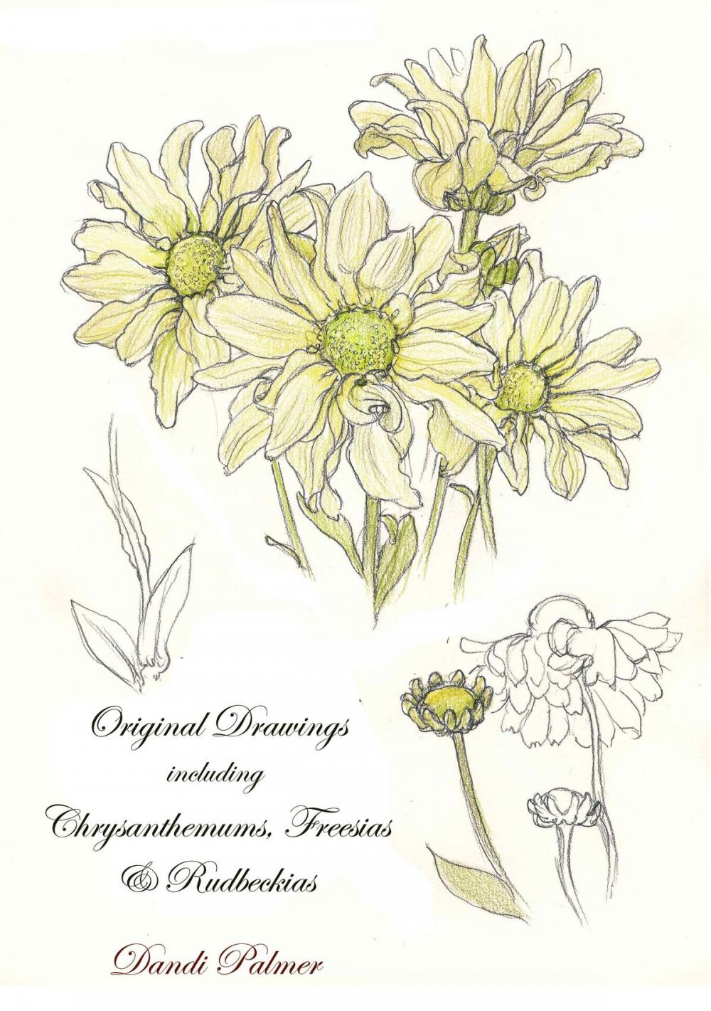 Big bigCover of Original Drawings Including Chrysanthemums, Freesias and Rudbeckias