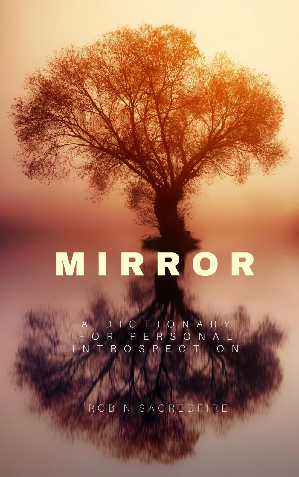 Big bigCover of Mirror: A Dictionary for Personal Introspection