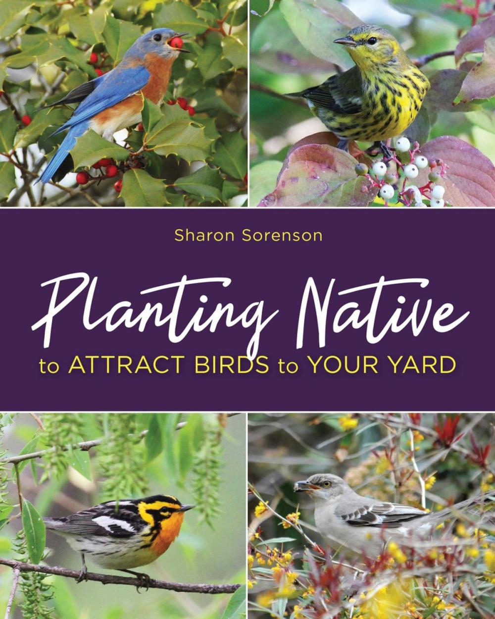 Big bigCover of Planting Native to Attract Birds to Your Yard