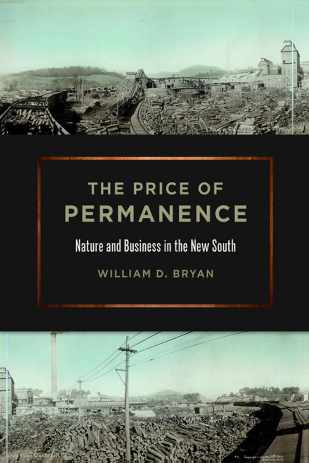 Big bigCover of The Price of Permanence