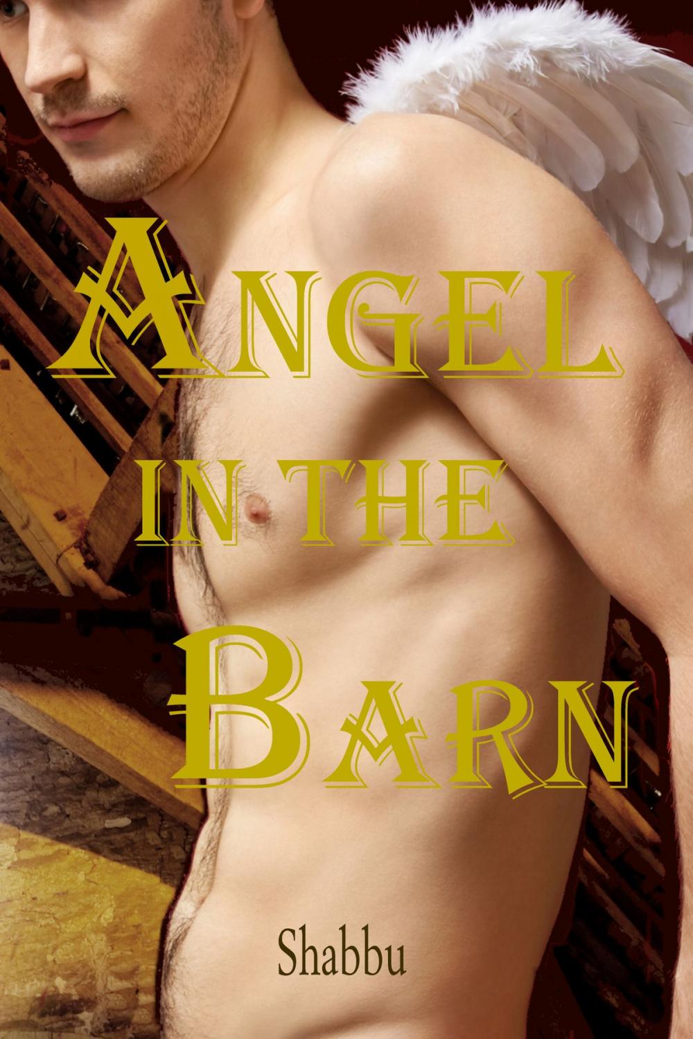 Big bigCover of Angel in the Barn