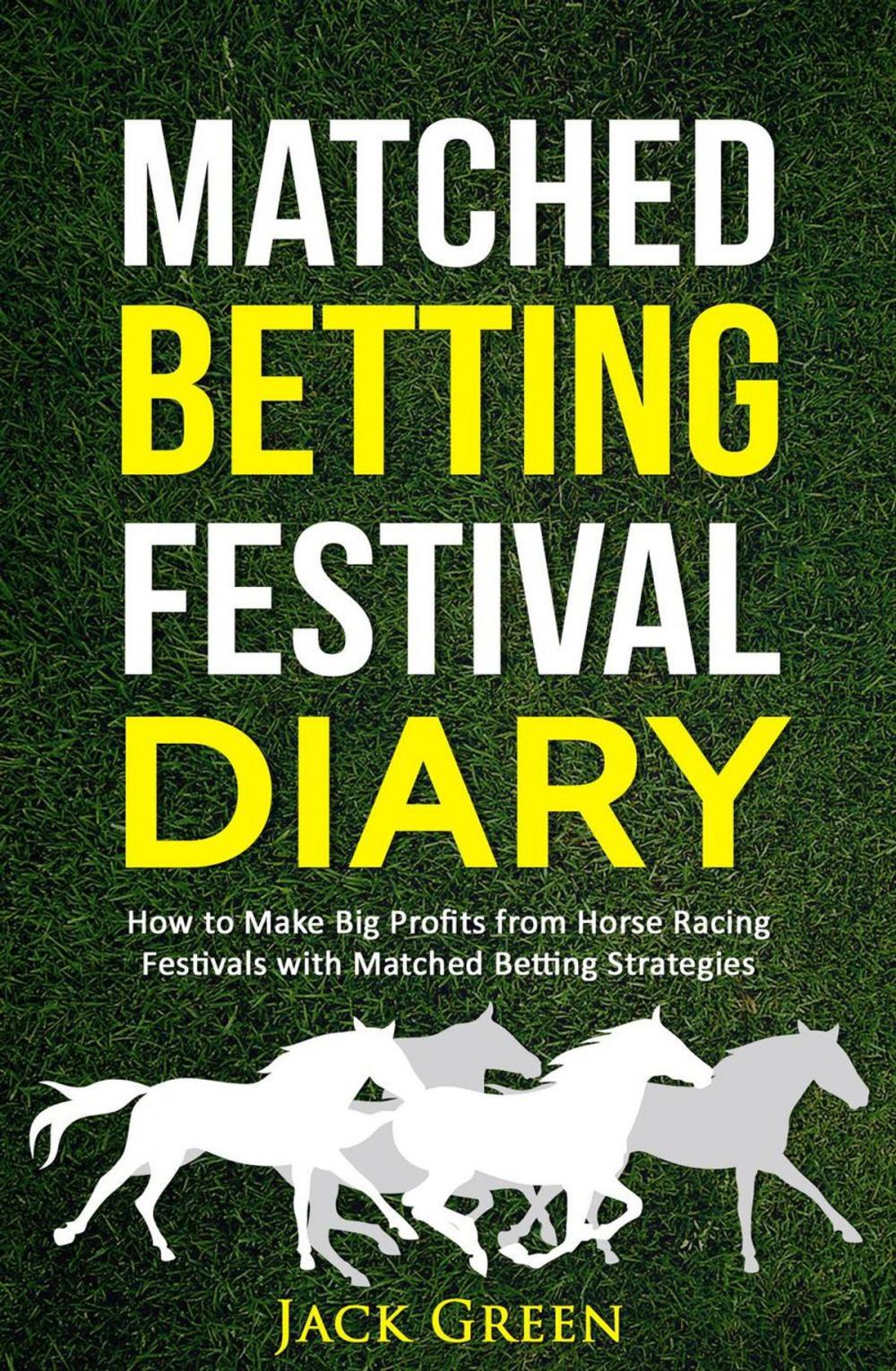 Big bigCover of Matched Betting Festival Diary: How to Make Big Profits from Horse Racing Festivals with Matched Betting Strategies