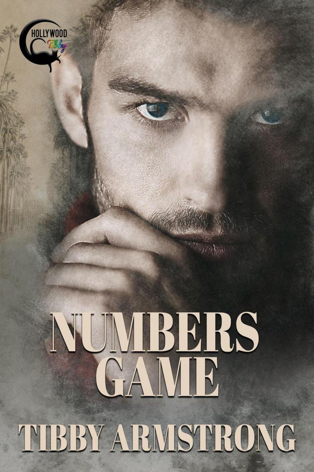 Big bigCover of Numbers Game