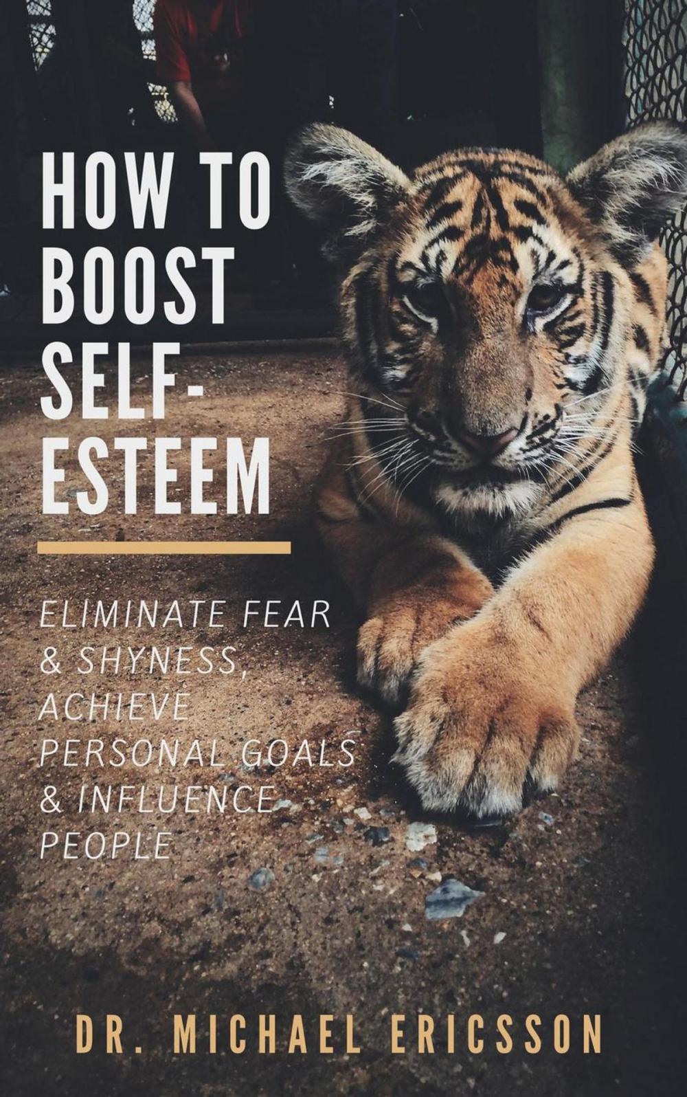 Big bigCover of How to Boost Self-Esteem: Eliminate Fear & Shyness, Achieve Personal Goals & Influence People