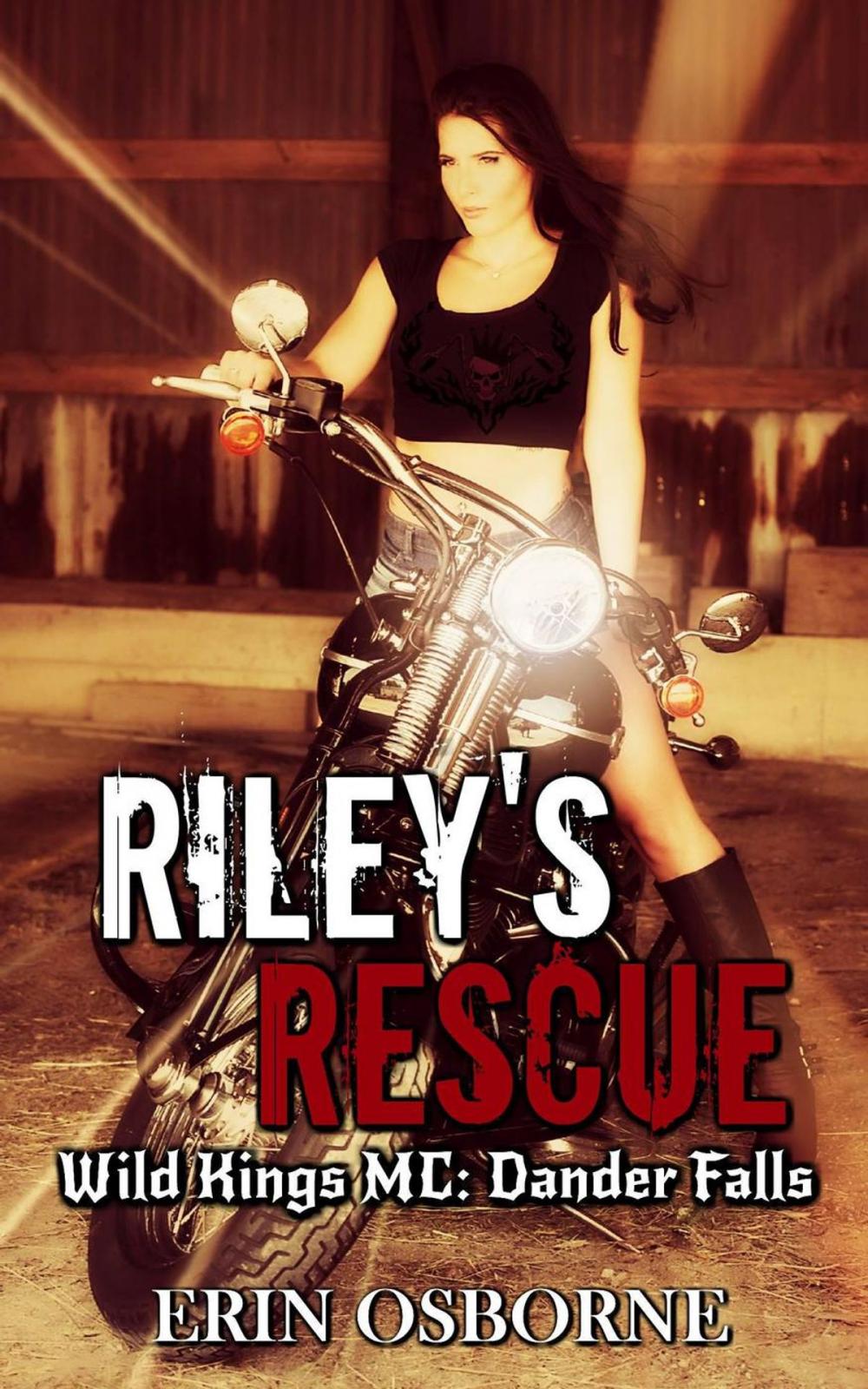 Big bigCover of Riley's Rescue